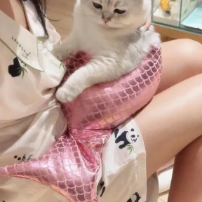 Mermaid Tail Cat Fishtail Decoration