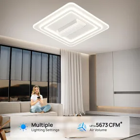 Leafless Fan Light With App-controlled Remote And Stepless Dimming